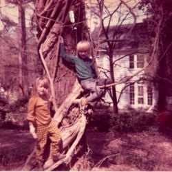 Tree in Backyard of Haunted House