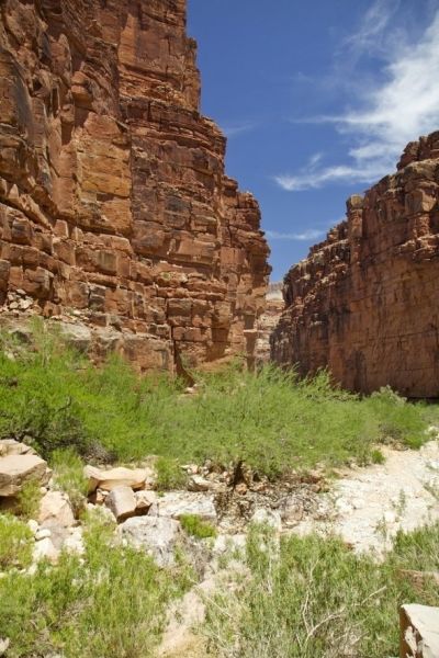 Along the trail to Supai!