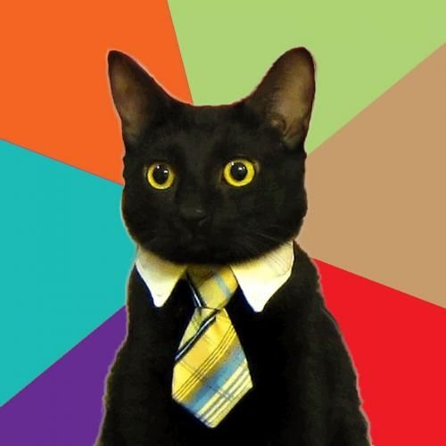 Business Cat Blank