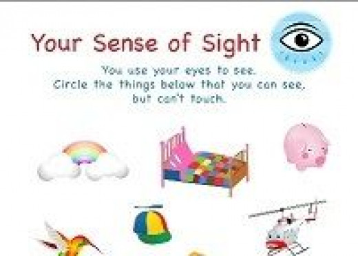 Teaching Kids Sense of Sight - The Five Senses | HubPages