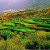 Hunza Hunza
