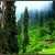 Kaghan Valley Kaghan Valley