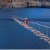 The Suspension Bridge Gilgit The Suspension Bridge Gilgit