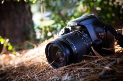 canon eos rebel t3