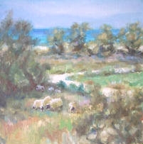 Sheep in the morning by Anita Miller 