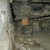 The basement. The basement.