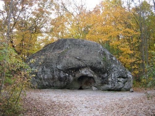 The Bleasdell Boulder surrounded by yellow.