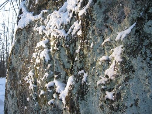 Ice covering side of boulder.