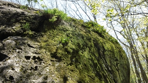 Moss on upper right side of boulder.