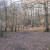 Wooded area of The New Forest Wooded area of The New Forest