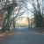 Narrow road in The New Forest Narrow road in The New Forest