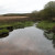 Wetlands in The New Forest Wetlands in The New Forest