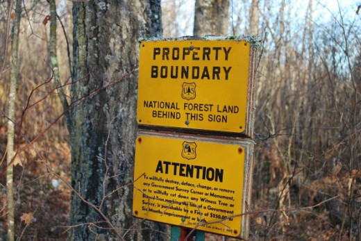 And it's easy to find because national forest boundaries also meet at this corner.