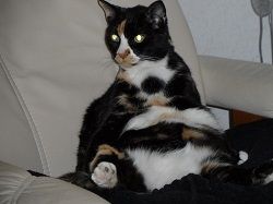 Relaxed