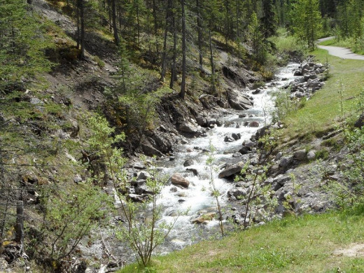 Sulphur Creek on the way up to the old ruins above Miette Hot Springs.
