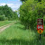 Blue Ox Trail heading north from Littlefork.