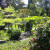 Behind the Empress Hotel you can look down for a glimpse of the gardens the guests enjoy. Behind the Empress Hotel you can look down for a glimpse of the gardens the guests enjoy.