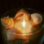 The shells glow wonderfully & if there's a breeze the glow seems to flicker The shells glow wonderfully & if there's a breeze the glow seems to flicker