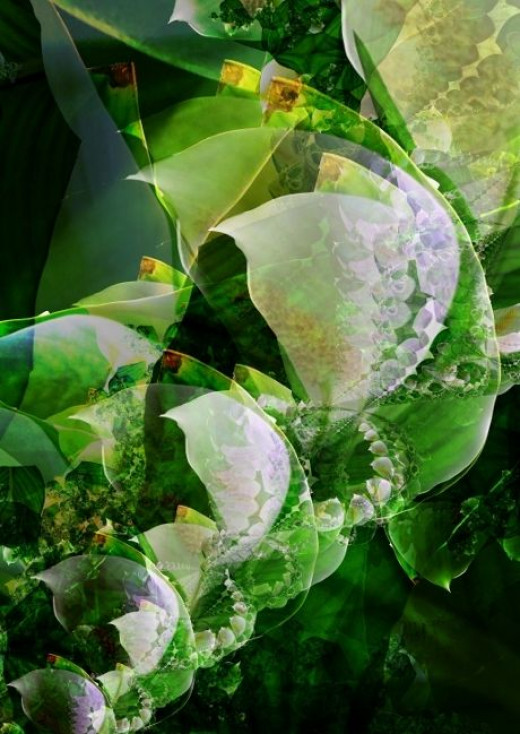 video import for ultra fractal video import for ultra fractal