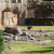 Grizzly Bear Photo by Sylvestermouse Grizzly Bear Photo by Sylvestermouse