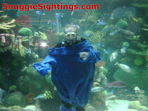 Soggy Snuggie