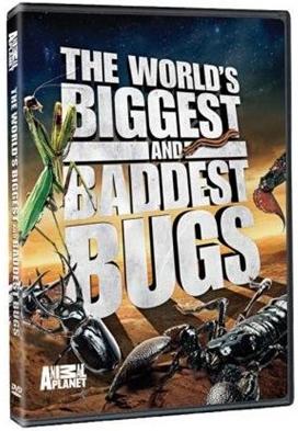 Animal Planet's The World's Biggest and Baddest Bugs