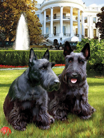 Presidential Dogs Jigsaw Puzzle