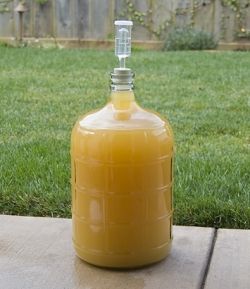 carboy full of mead