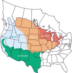 Map Of Badger Locations