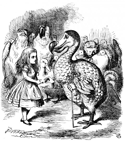 Tenniel's illustration of a Dodo from Lewis Carroll's 'Alice's Adventures in Wonderland', public domain in countries with copyright term of life of author plus 70 years, and in US.