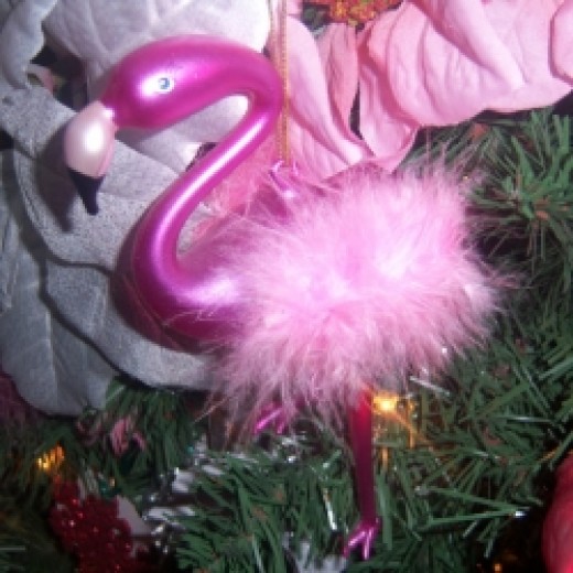 flamingo lose pink