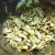 Remove as much chicken meat from the carcasses as possible.