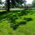 Eagle Mound, an effigy mound, in Wisconsin: http://en.wikipedia.org/wiki/Effigy_Mound