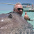 My husband being kissed by a stingray