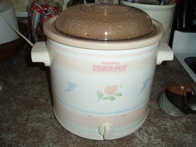 My Trusty Old Crock Pot