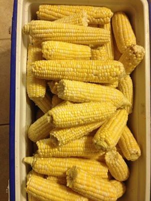 Corn can be blanched, bagged, and stored in the freezer