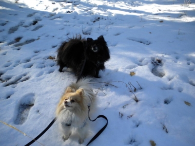Tinker and Nanna - First Time Playing In The Snow