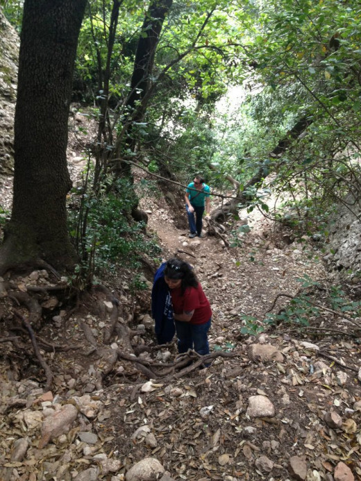 Just crawl over those tree roots &amp; grab a bush!