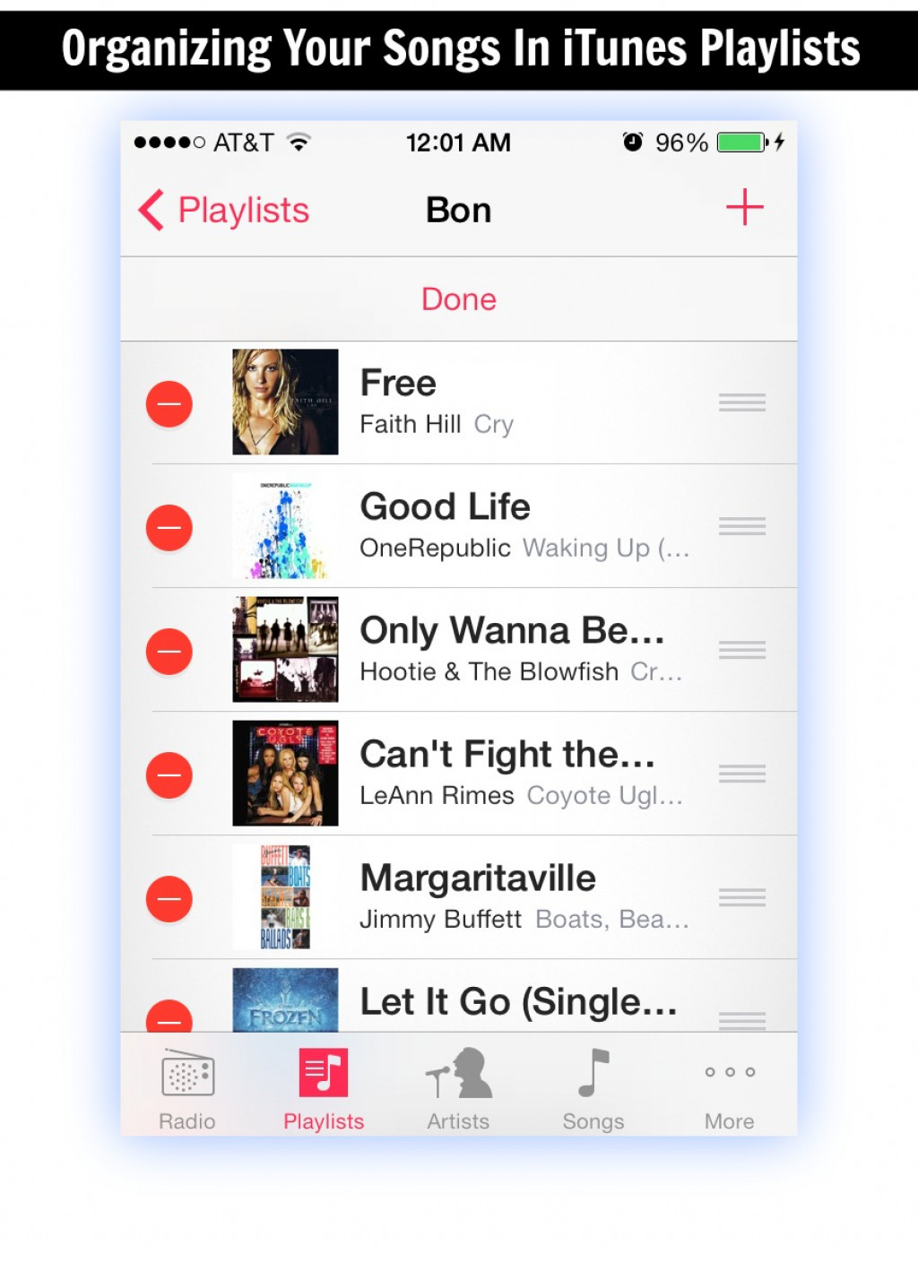 Organizing Songs in iTunes Playlists