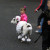 We have had all kinds of visitors to our Open House Halloween Party. Even the family goat can dress up as a pretty cool poodle with the right Halloween costume. We have had all kinds of visitors to our Open House Halloween Party. Even the family goat can dress up as a pretty cool poodle with the right Halloween costume.