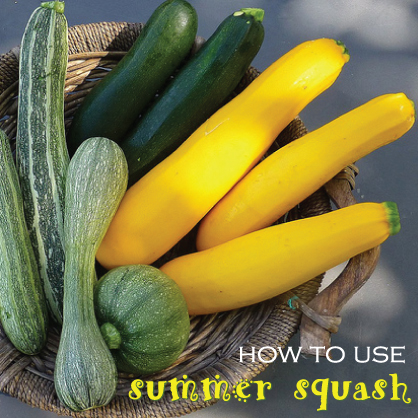 How To Use Summer Squash