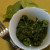 Serve and enjoy! I like my steamed veggies with a little seasoned salt on them. Check out the links below for some more ideas. Serve and enjoy! I like my steamed veggies with a little seasoned salt on them. Check out the links below for some more ideas.