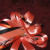 Affix the flower bow with train to the barrette back with three beads of glue. It's heavy, you will need a lot. Affix the flower bow with train to the barrette back with three beads of glue. It's heavy, you will need a lot.