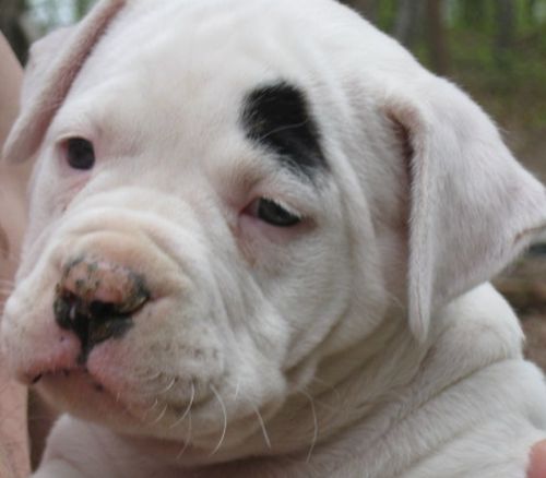 I'm not ready for my close up.