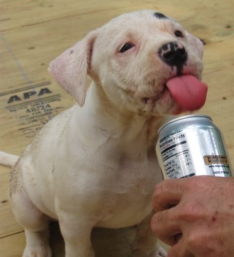 Woo loves Strawberry Soda