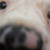 I'm ready for my close up now. I'm ready for my close up now.