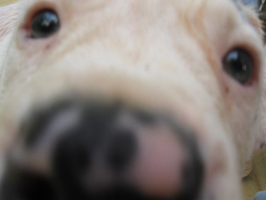 I'm ready for my close up now.