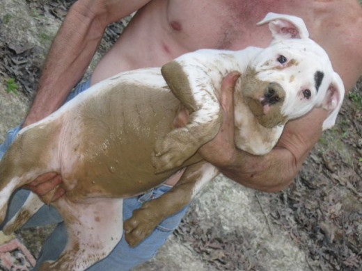 Woo loves mud!