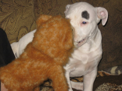 Still love my monkey toy.