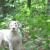 I love to be outside. I love to be outside.